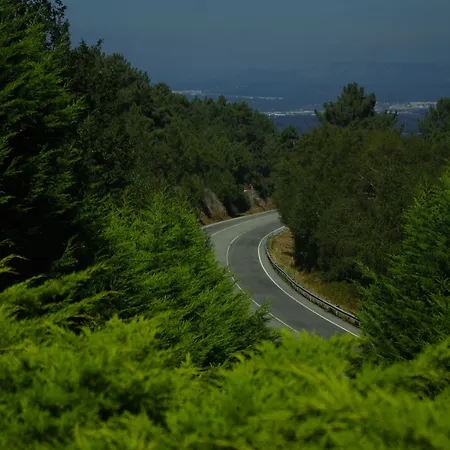 Rock Star Szálloda *
