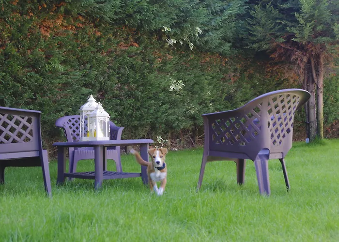 Rock Star * Taboadela